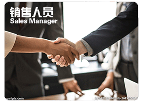 Sales Manager